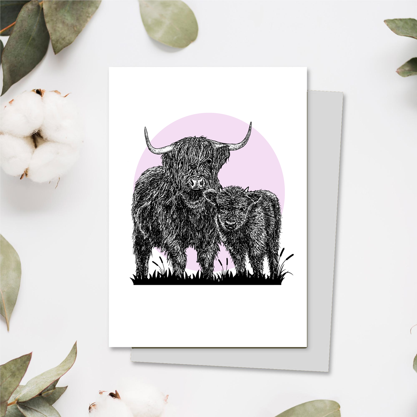 Highland Cow Greetings Card